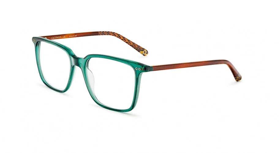 Etnia Barcelona Vintage CALONGE Eyeglasses - view 27
